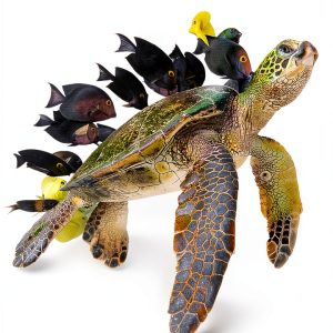 National Geographic Kids Reptile and Amphibian Book for Kids, Ages 4-8-0