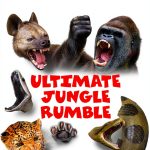 Who Would Win? Illustrated Children's Zoology Book by Scholastic Inc.-0